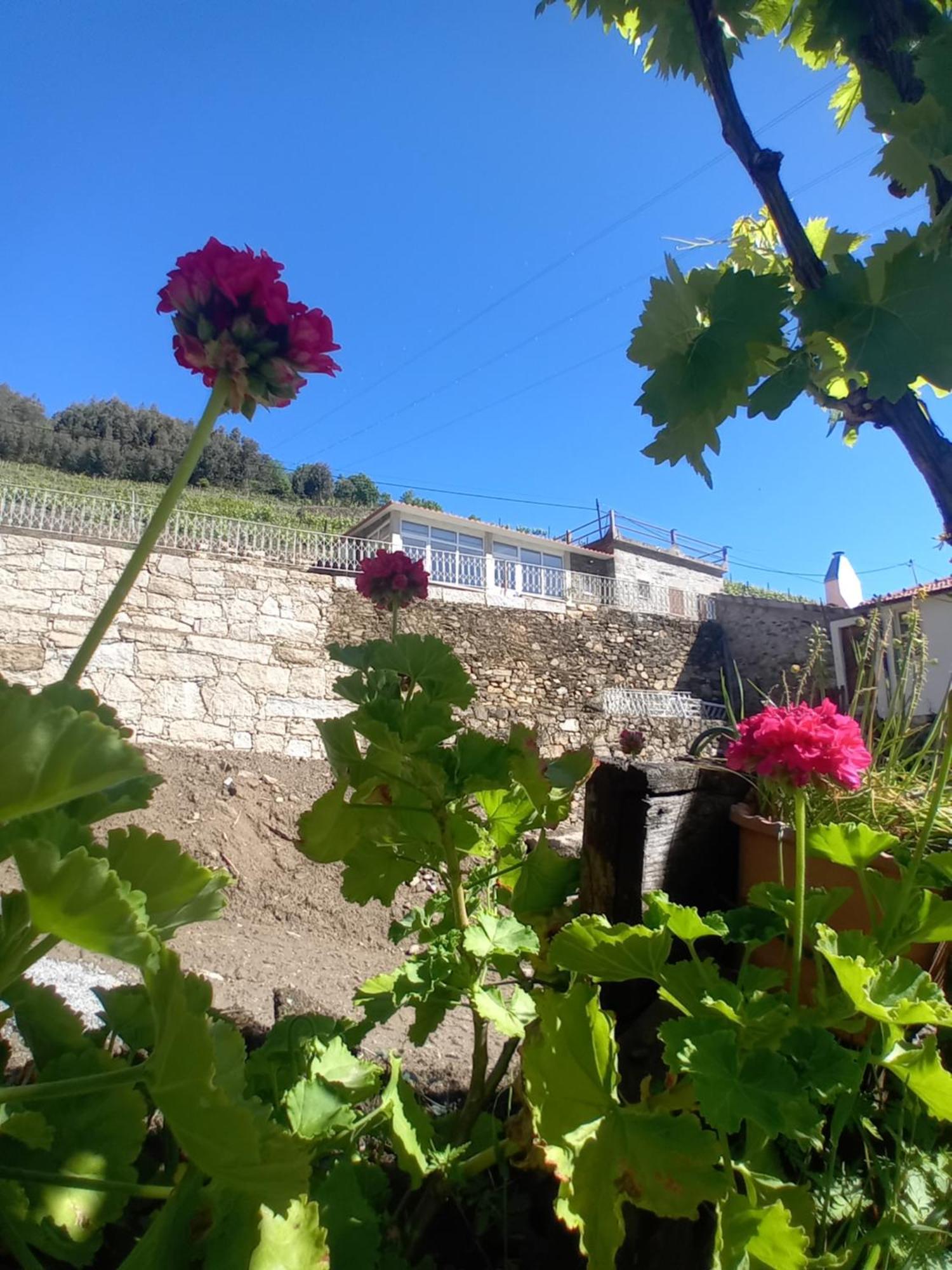 Casa Da Quinta Do Porto Villa Lamego Dış mekan fotoğraf