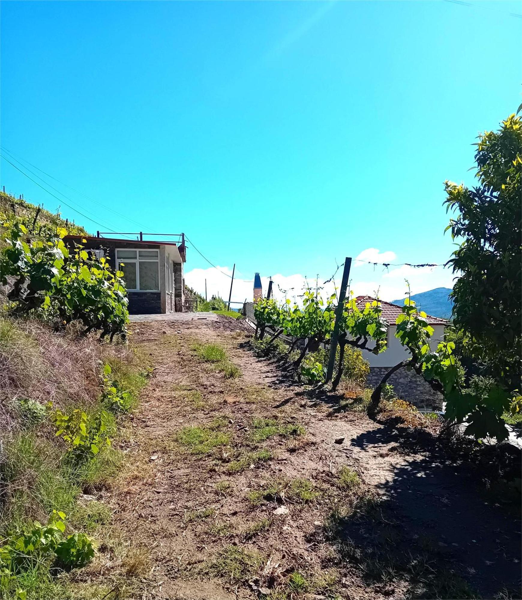 Casa Da Quinta Do Porto Villa Lamego Dış mekan fotoğraf