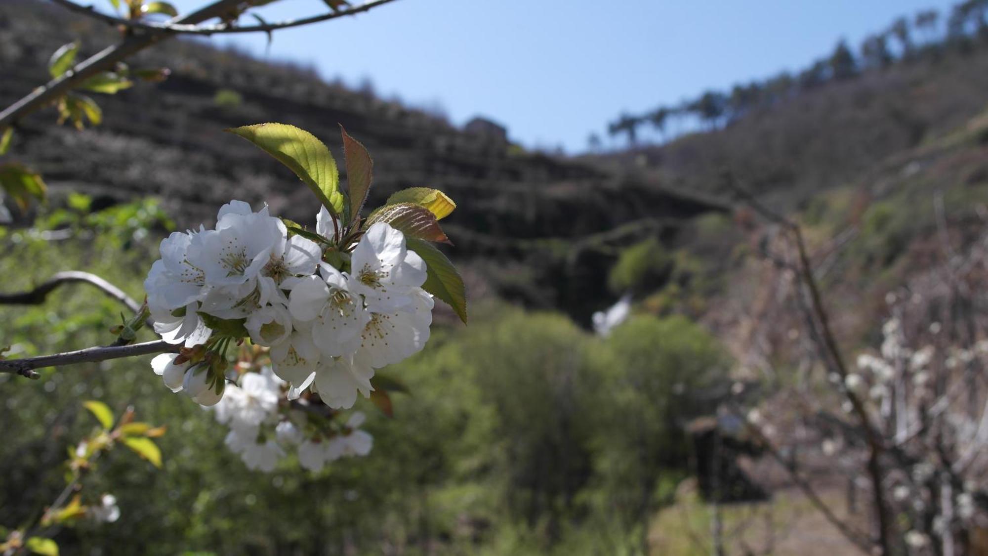 Casa Da Quinta Do Porto Villa Lamego Dış mekan fotoğraf