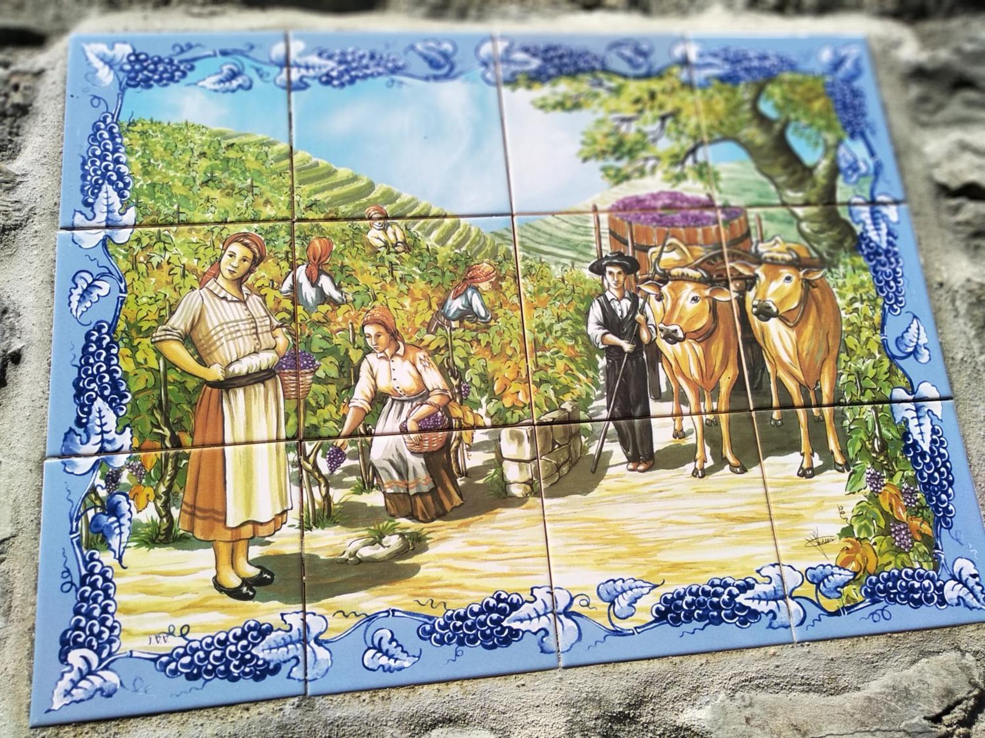 Casa Da Quinta Do Porto Villa Lamego Dış mekan fotoğraf