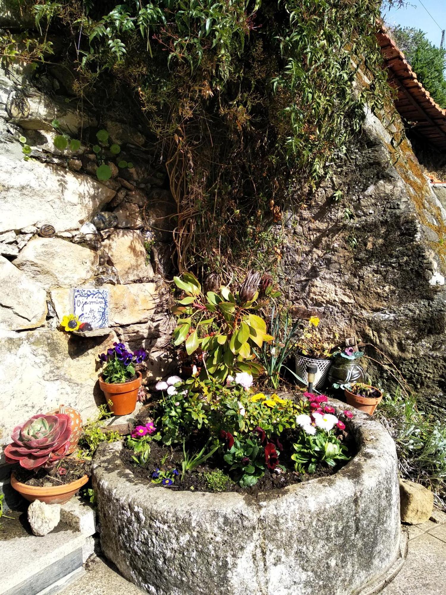 Casa Da Quinta Do Porto Villa Lamego Dış mekan fotoğraf