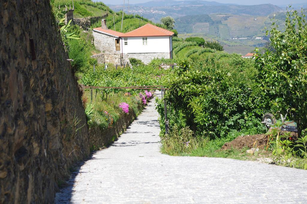 Casa Da Quinta Do Porto Villa Lamego Dış mekan fotoğraf