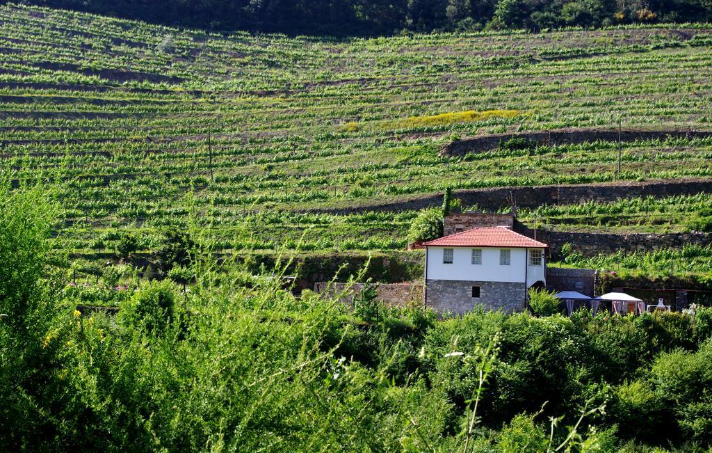 Casa Da Quinta Do Porto Villa Lamego Dış mekan fotoğraf