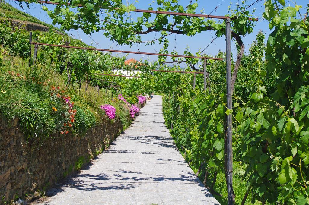 Casa Da Quinta Do Porto Villa Lamego Dış mekan fotoğraf